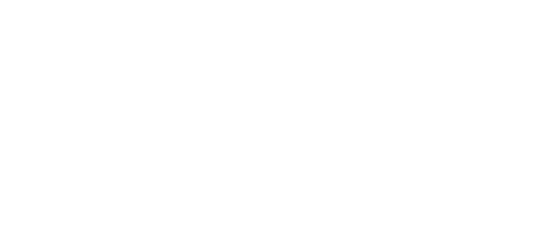 Pablo Merino Institute